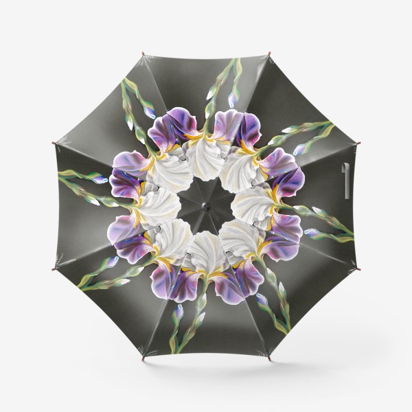 Зонт «Бело-фиолетовый цветок, Ирис сухой пастелью на темном фоне»