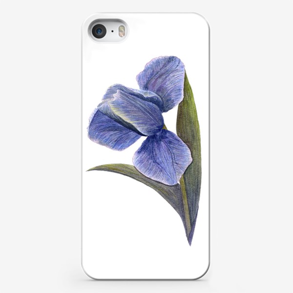 Чехол iPhone «Синий тюльпан»