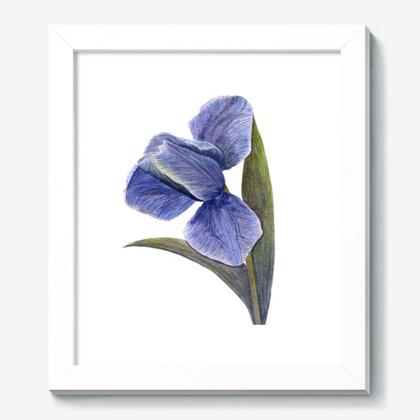 Картина «Синий тюльпан»