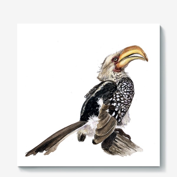 Холст &laquo;Африканская птица желтоклювый токо&raquo;