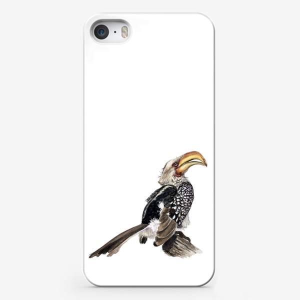 Чехол iPhone «Африканская птица желтоклювый токо»