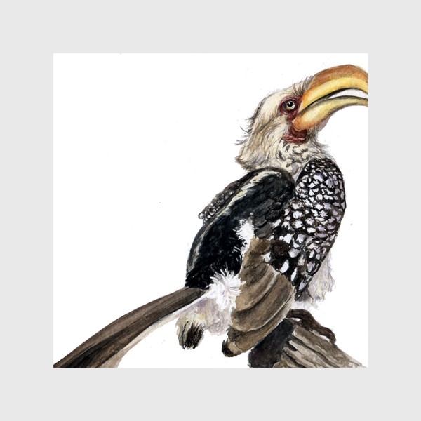 Шторы &laquo;Африканская птица желтоклювый токо&raquo;