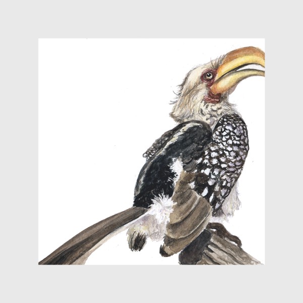 Скатерть &laquo;Африканская птица желтоклювый токо&raquo;