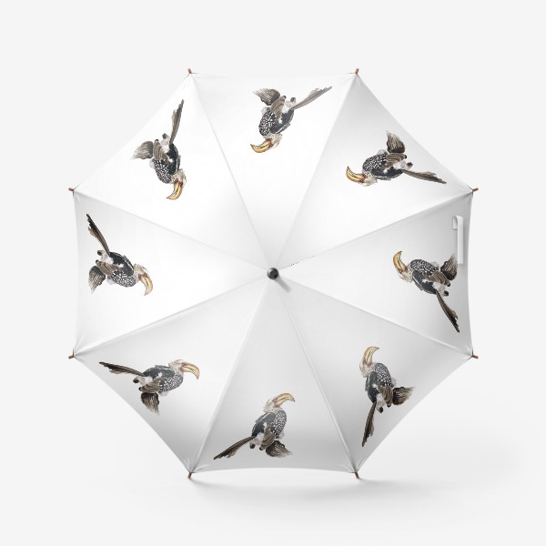 Зонт &laquo;Африканская птица желтоклювый токо&raquo;