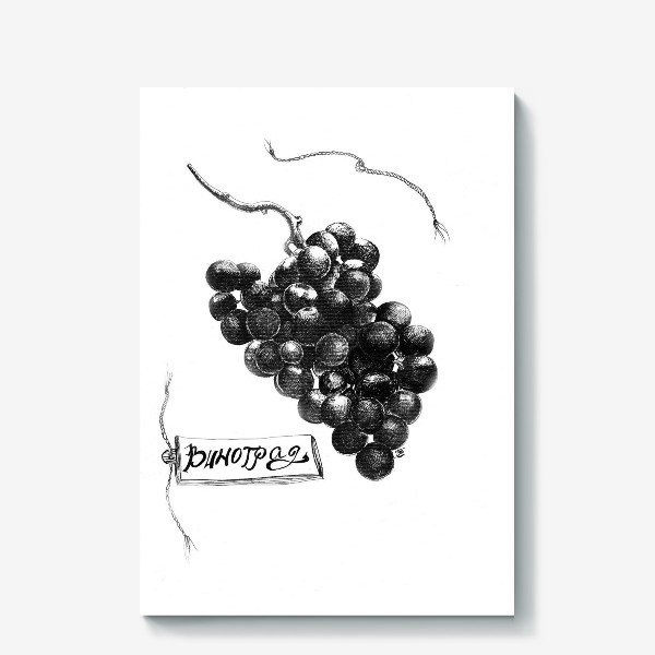 Холст «Гроздь винограда, графика»