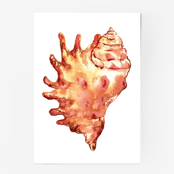 Постер «морская ракушка, акварельный рисунок в красно желтых цветах яркое летнее ракушка  сувенир»
