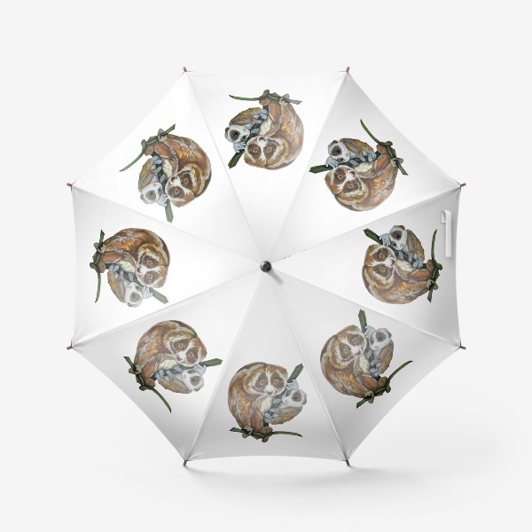 Зонт «Очаровательные лори»