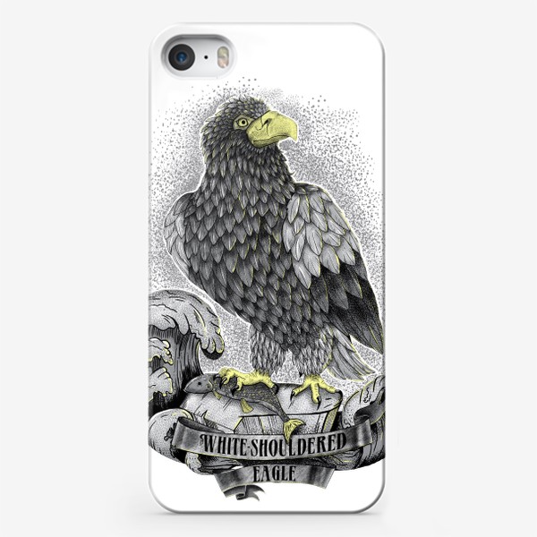 Чехол iPhone «Орел. Белоплечий орлан.»