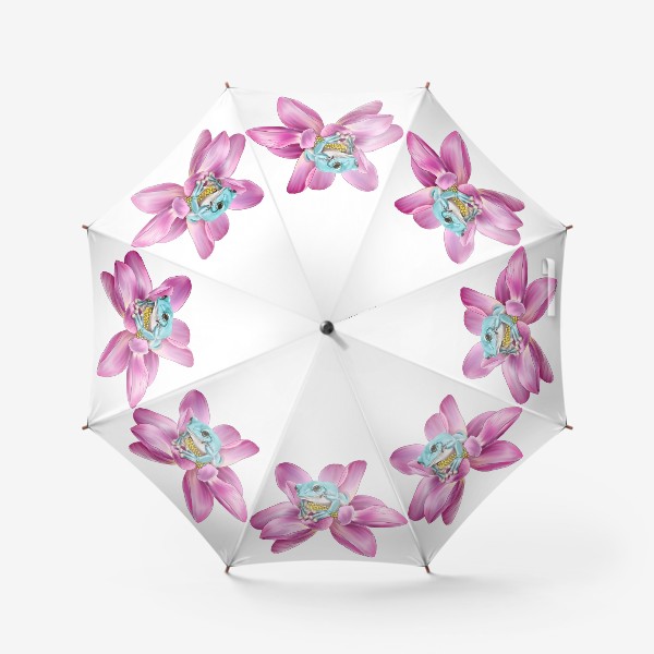 Зонт «Лягушка на лотосе»
