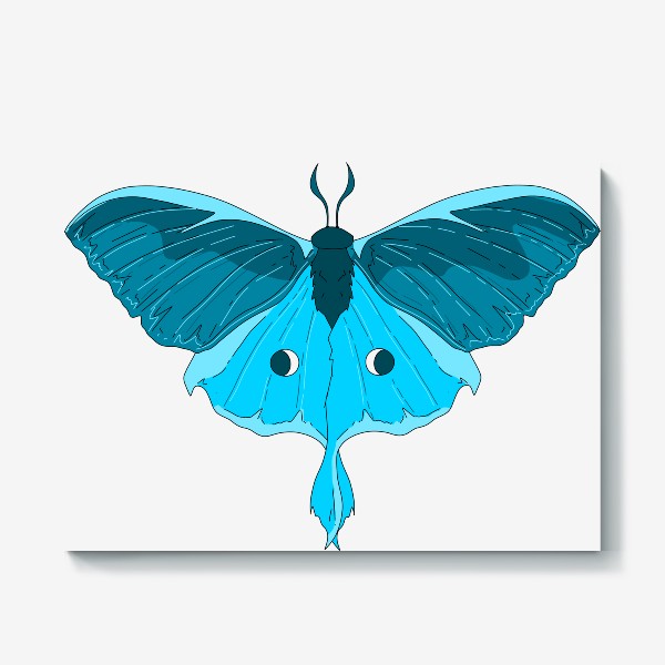 Холст «Голубая Бабочка, фантазийный рисунок Кедровая Падь мотылек ночной»