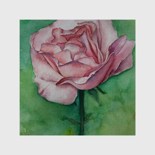 Шторы «Розовая роза»
