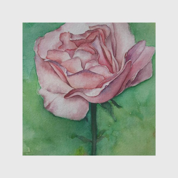 Скатерть «Розовая роза»