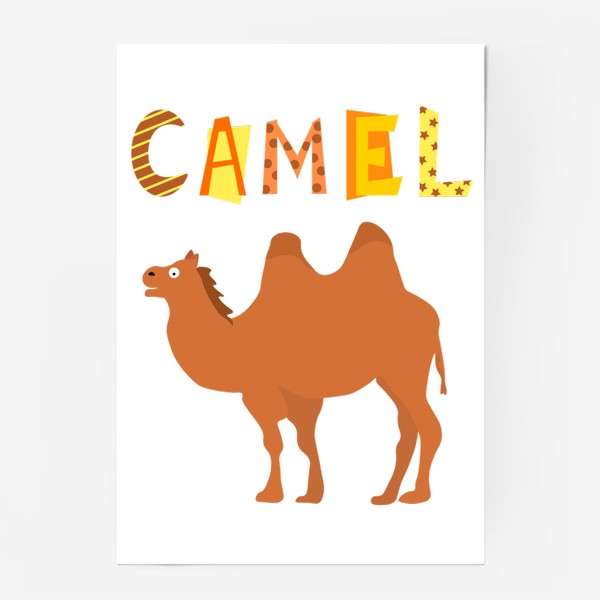 Постер «Верблюд»