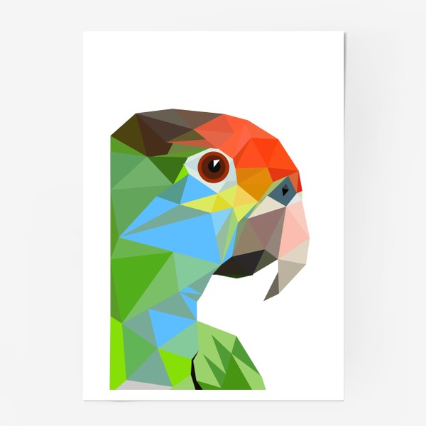 Постер «Амазон Попугай, Тропические птицы, Бразилия»