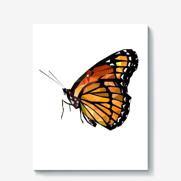 Холст «Данаида монарх Бабочка, Природа Насекомые»