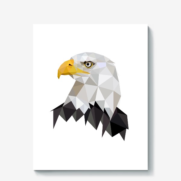 Холст «Орёл, Хищные птицы, Белоголовый орлан»