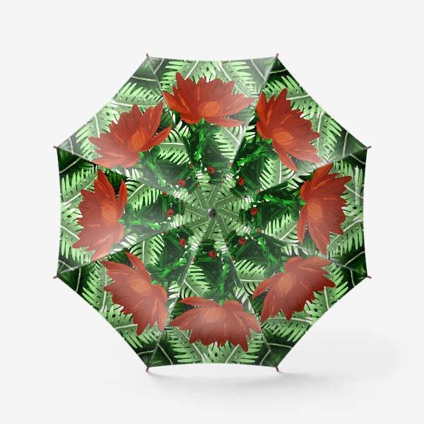 Зонт «Красноглазая лягушка»