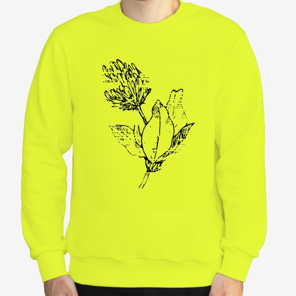 Свитшот «цветок клевера, цветущий луговой клевер скетч с листиками»