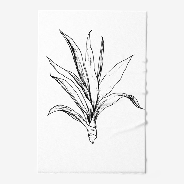 Полотенце «растение юкка драцена, домашнее южное растение нарисованный в винтажном скетч стиле»