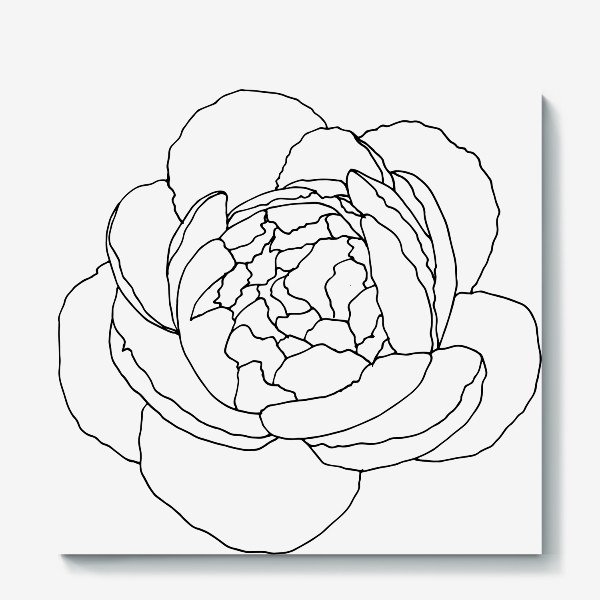 Холст «цветок пиона. ботанический скетч пиона черный линия»