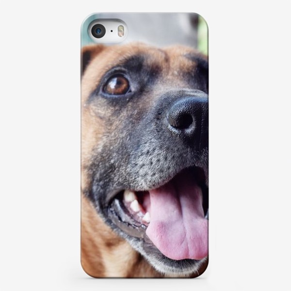 Чехол iPhone «Собака»