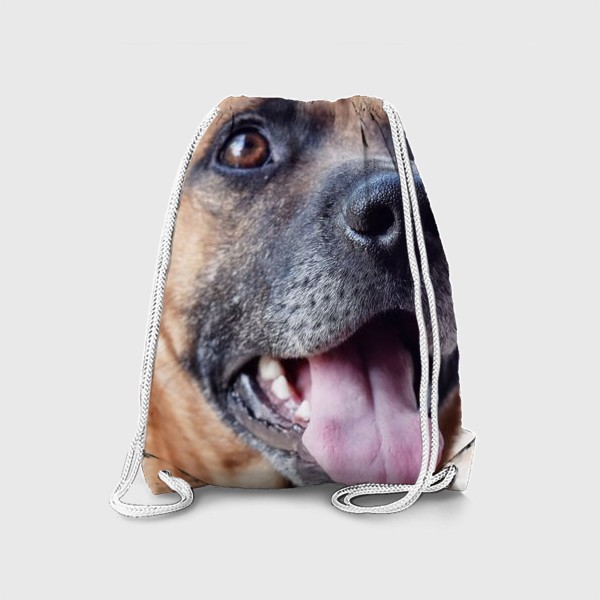 Рюкзак «Собака»