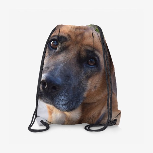 Рюкзак «Собачка»