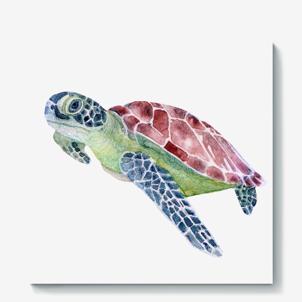 Холст «Акварель, Морская черепаха»