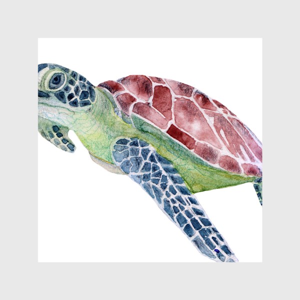 Шторы «Акварель, Морская черепаха»