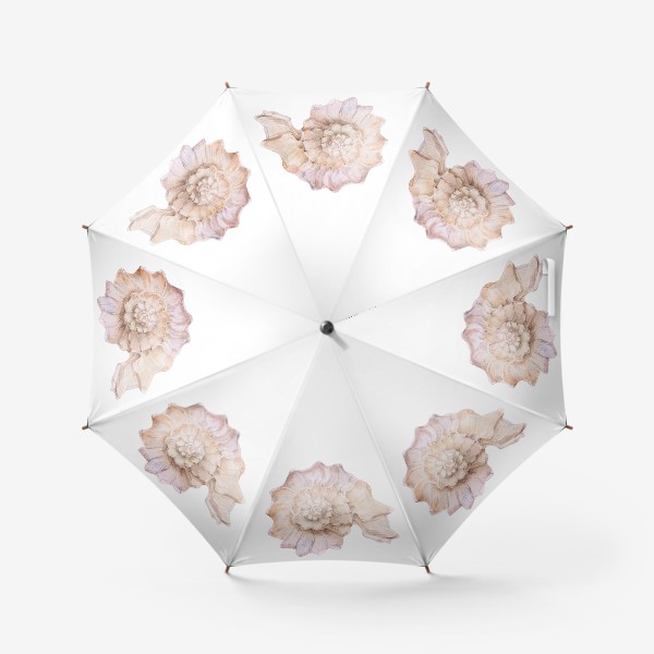 Зонт «Акварельный рисунок Морская раковина»