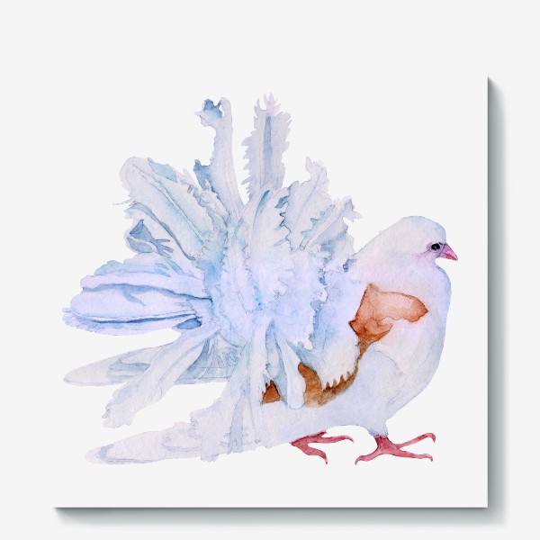 Холст «Акварель птица Белый голубь»