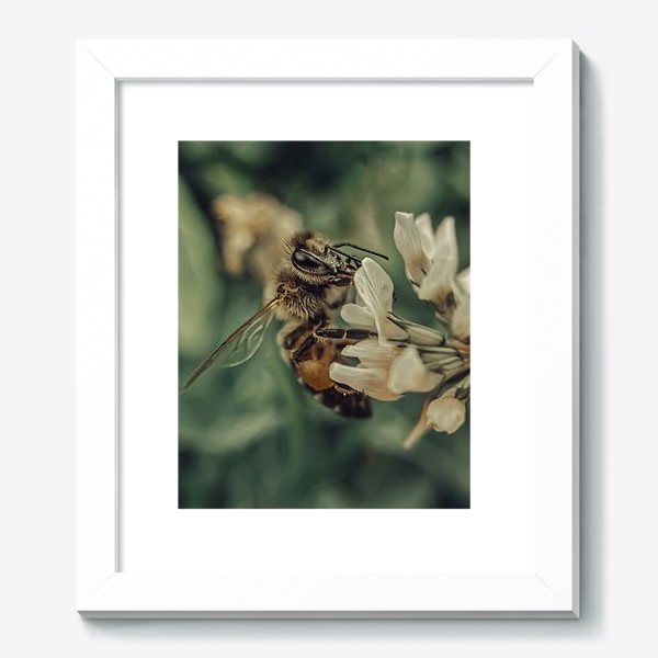 Картина «Пчела и цветок»