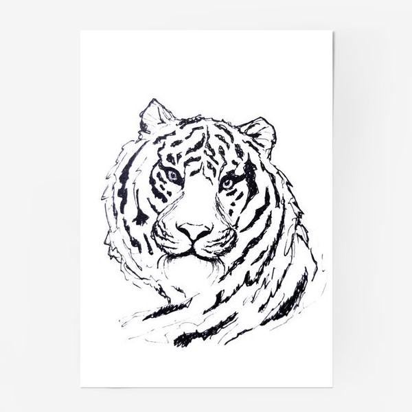 Постер «Черно-белая мордочка тигра »