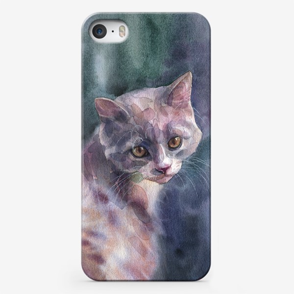 Чехол iPhone «Street kitten»