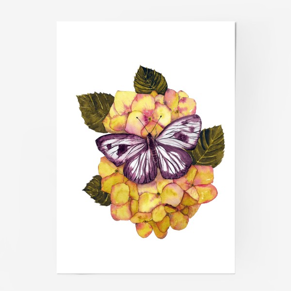 Постер «Гортензия и бабочка»