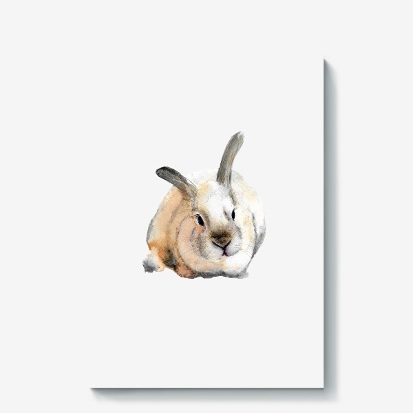 Холст «Милый Кролик Заяц В подарок »