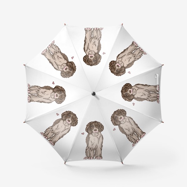 Зонт «спаниель с сердцем - собака с разными глазами»