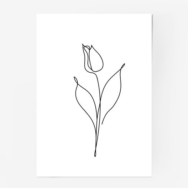 Постер «Тюльпан. Цветок  в стиле Line art.»
