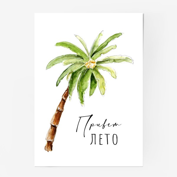 Постер «Пальма с кокосами»
