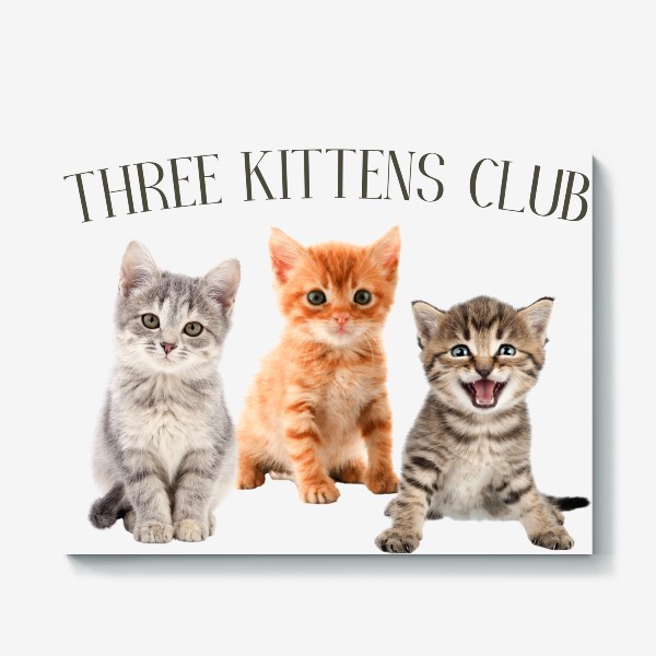 Холст «Three Kittens Club. Клуб Трех Котят. Кошка. Кот.»