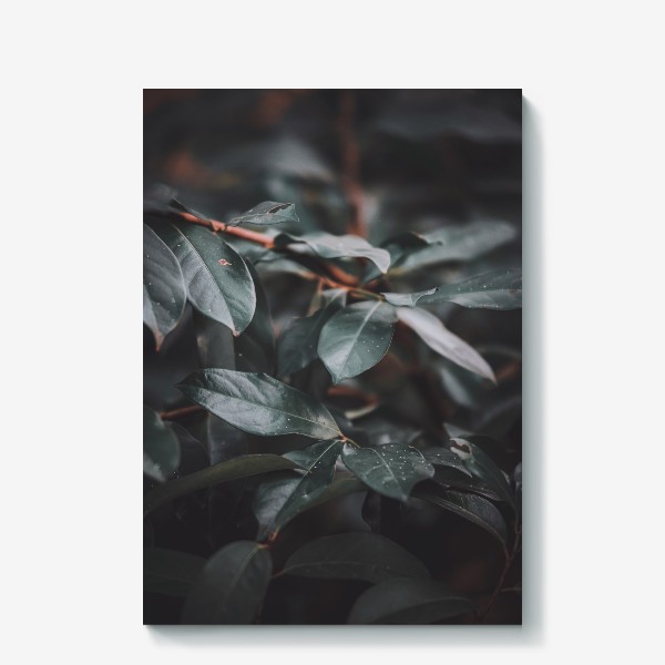Холст «Ветка с листьями»