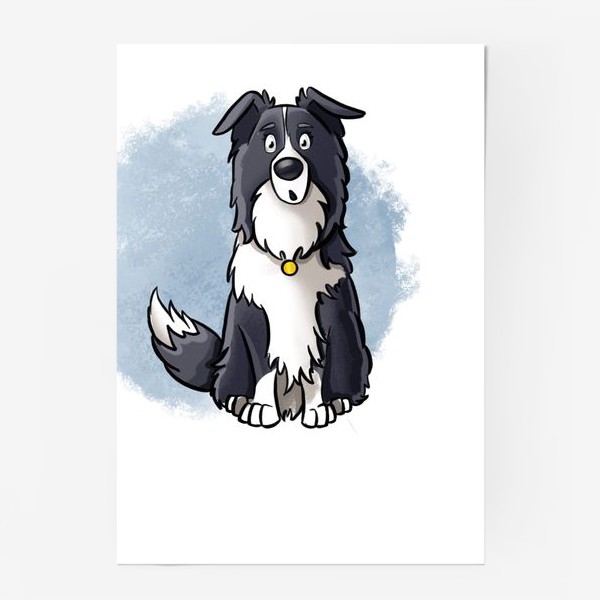 Постер «бордер колли. собака»