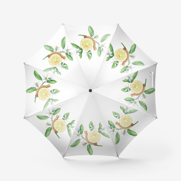 Зонт «Улитка лимон»