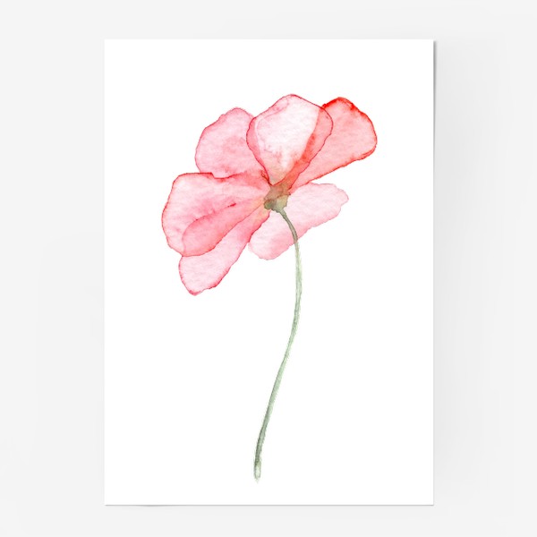 Постер «Нежный розовый цветок прозрачный»