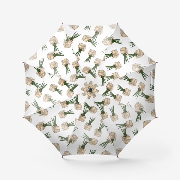 Зонт «Сансевьерия в горшочке. Комнатное растение. Суккулент»