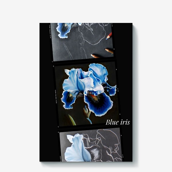 Холст «Коллаж голубой ирис. Рисунок сухой пастелью, ботаническая иллюстрация на темном фоне»