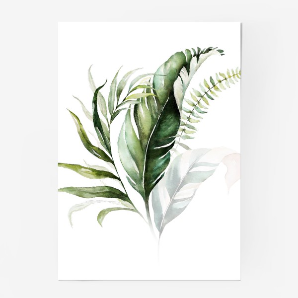 Постер «Листья пальмы акварель»
