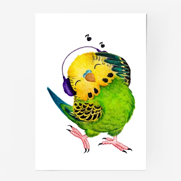 Постер «волнистый попугай»
