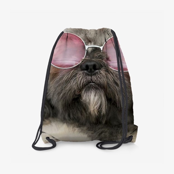 Рюкзак «Собака в очках»