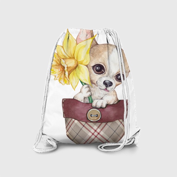 Рюкзак «Собачка в кармане. Чихуа и нарцисс»
